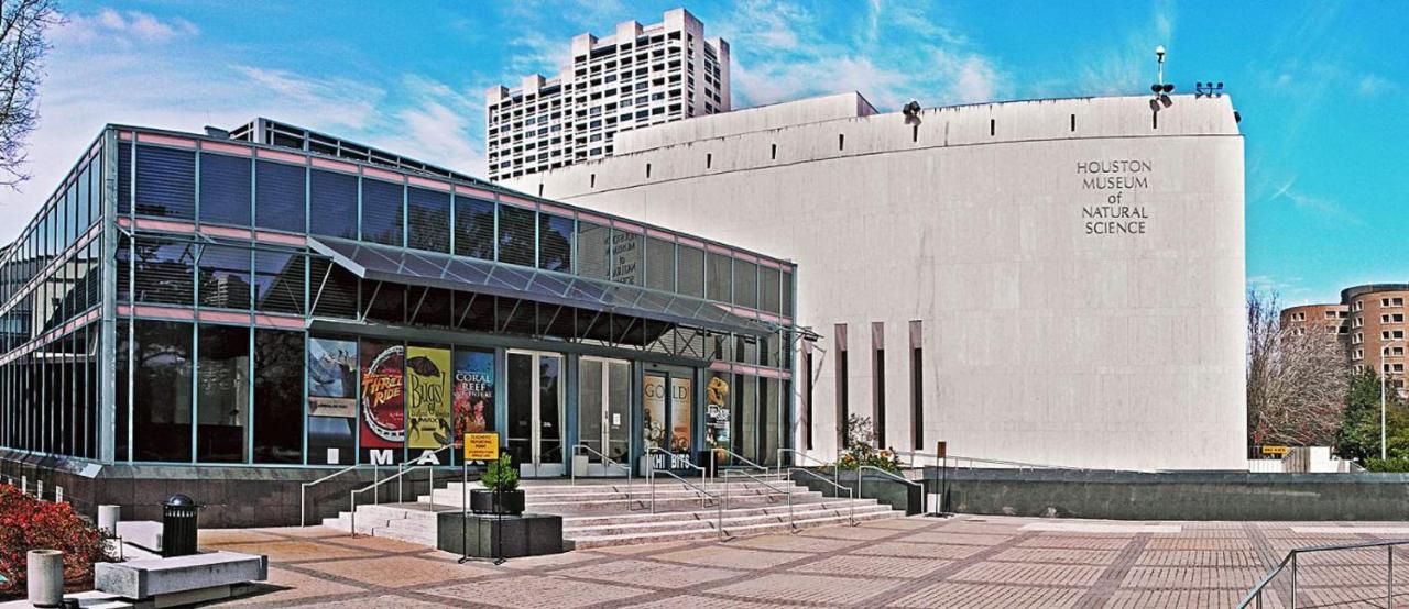 *Hidden Gem* Cozy 1 Bd Nrg/Tmc/Dt/Zoo/Museums Apartment Houston Exterior foto